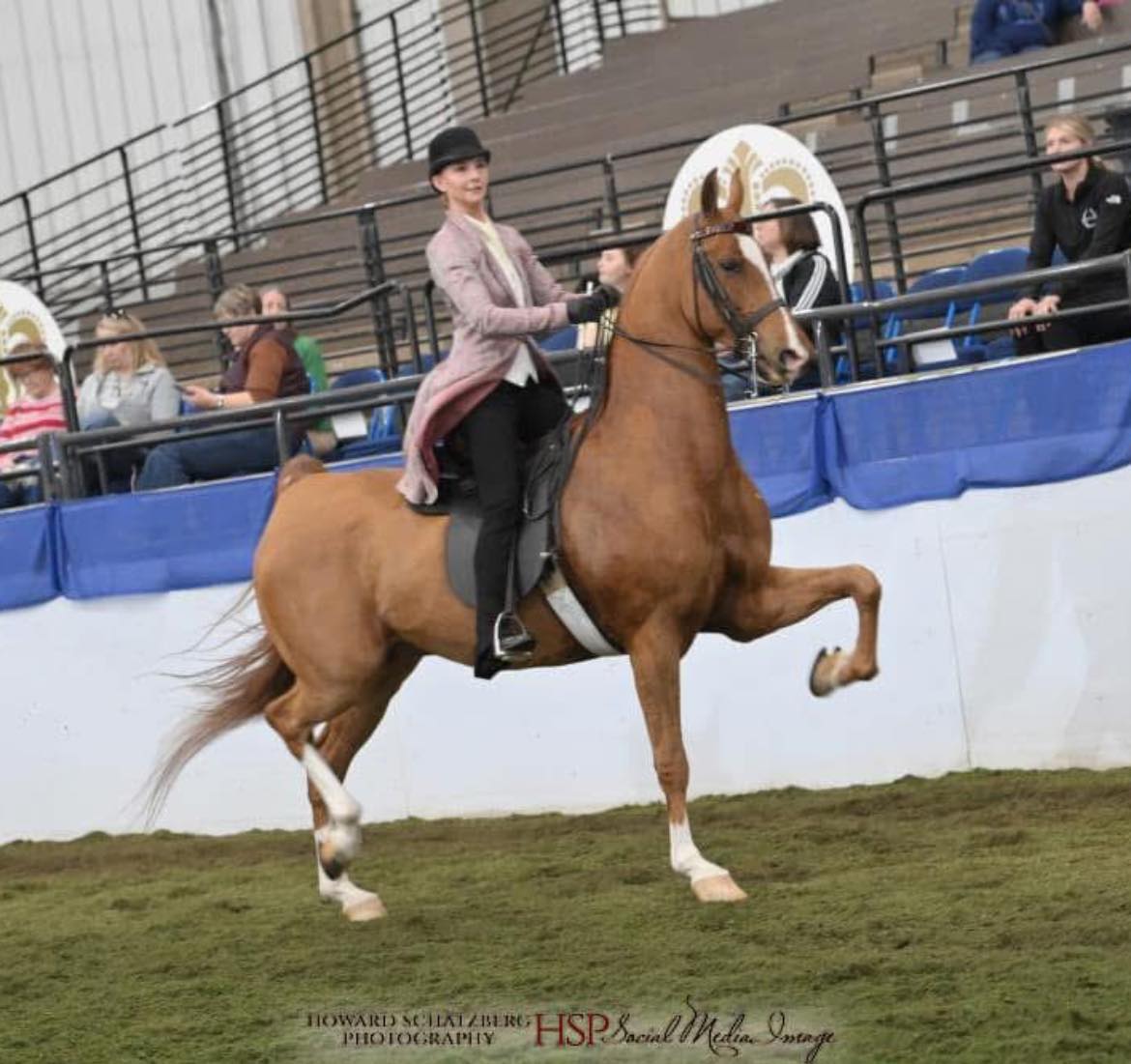 Fire Riding Academy | Kansas City MO