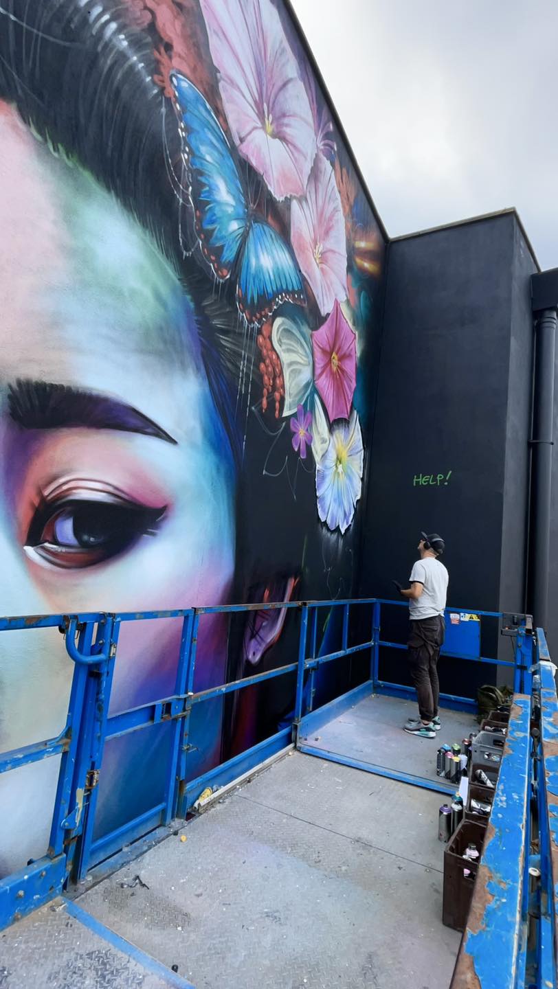 Dan - Over watch - up high on my new mural here in Waterford, Ireland ...