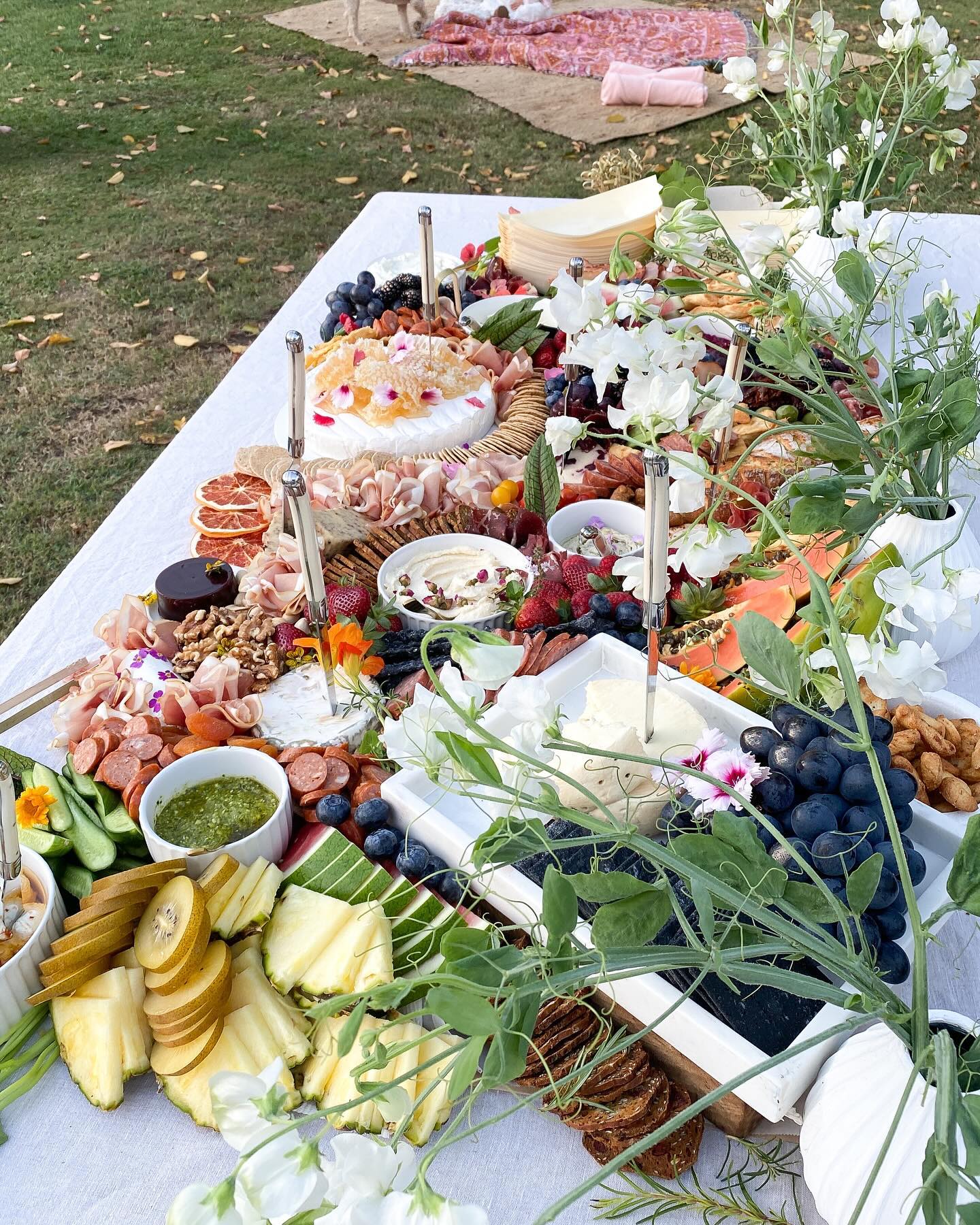 Wild Feast Grazing Co