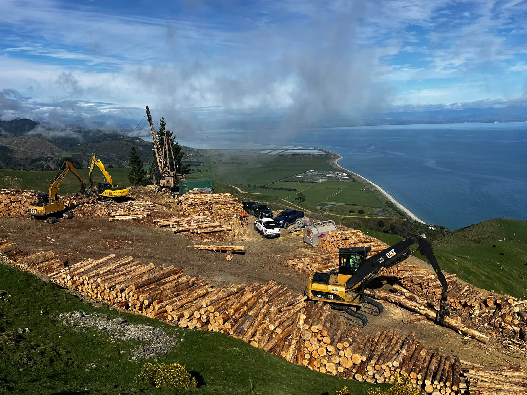 Moir Logging | Nelson