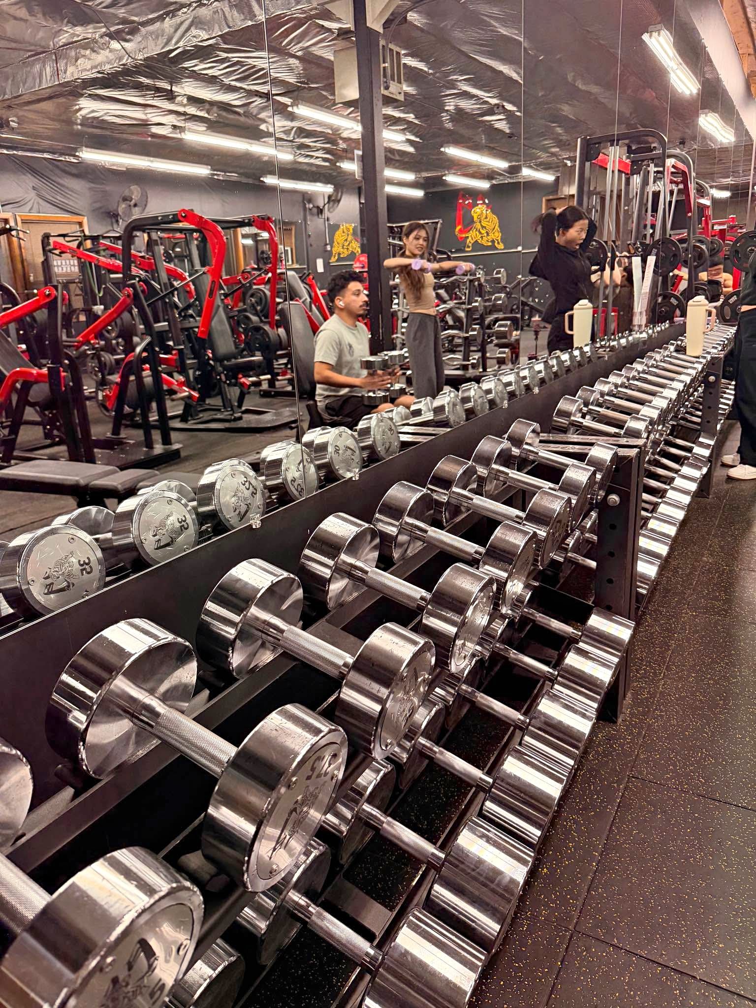 Commercial REPFORCE Two-tiers dumbbell rack 10 sets dumbbell each rack ...