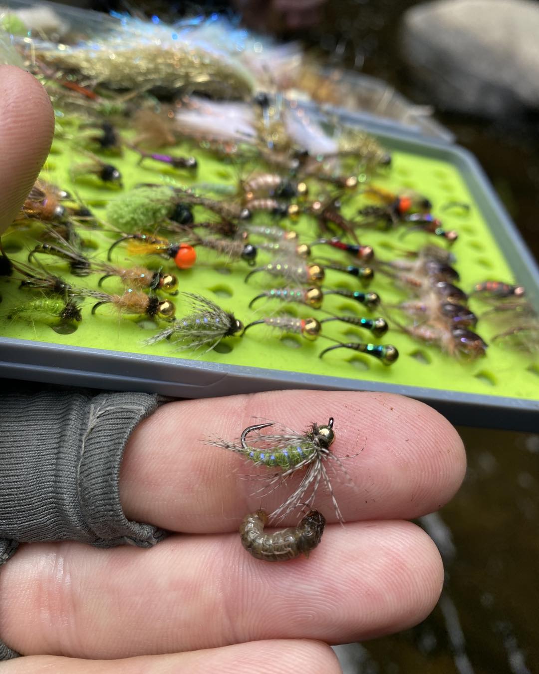 adirondack trout fishing lures Support (Multiple Colors) Pink Hologram Cast as well as a spook jr Top Five Lure Presentations for
