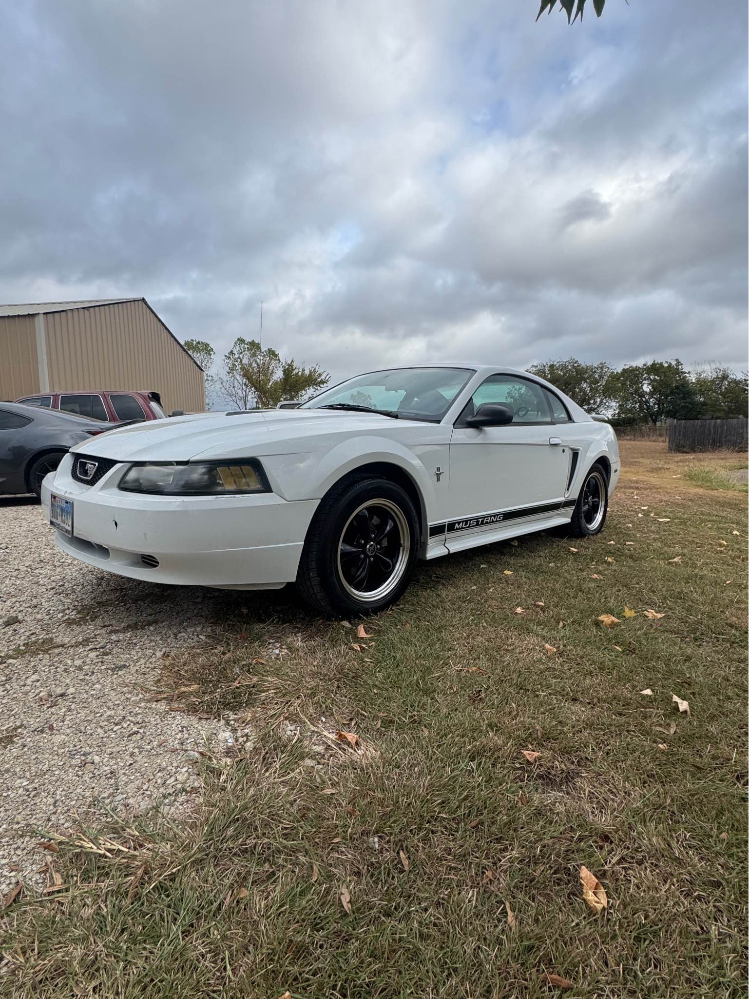 Best HD Pictures about  2002 Ford Mustang V6  with No AI Images