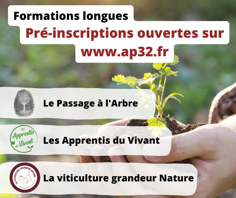 Pragmaculture