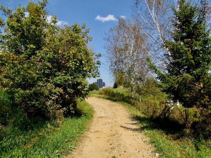 From earlier today on the atv trail. And some side... - Southeastern ...
