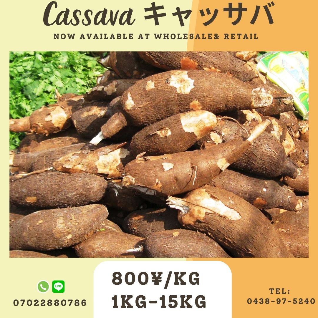 徳之島産キャッサバ生芋イエロー20キロいり 食品 徳之島産キャッサバ生芋イエロー20キロ入り