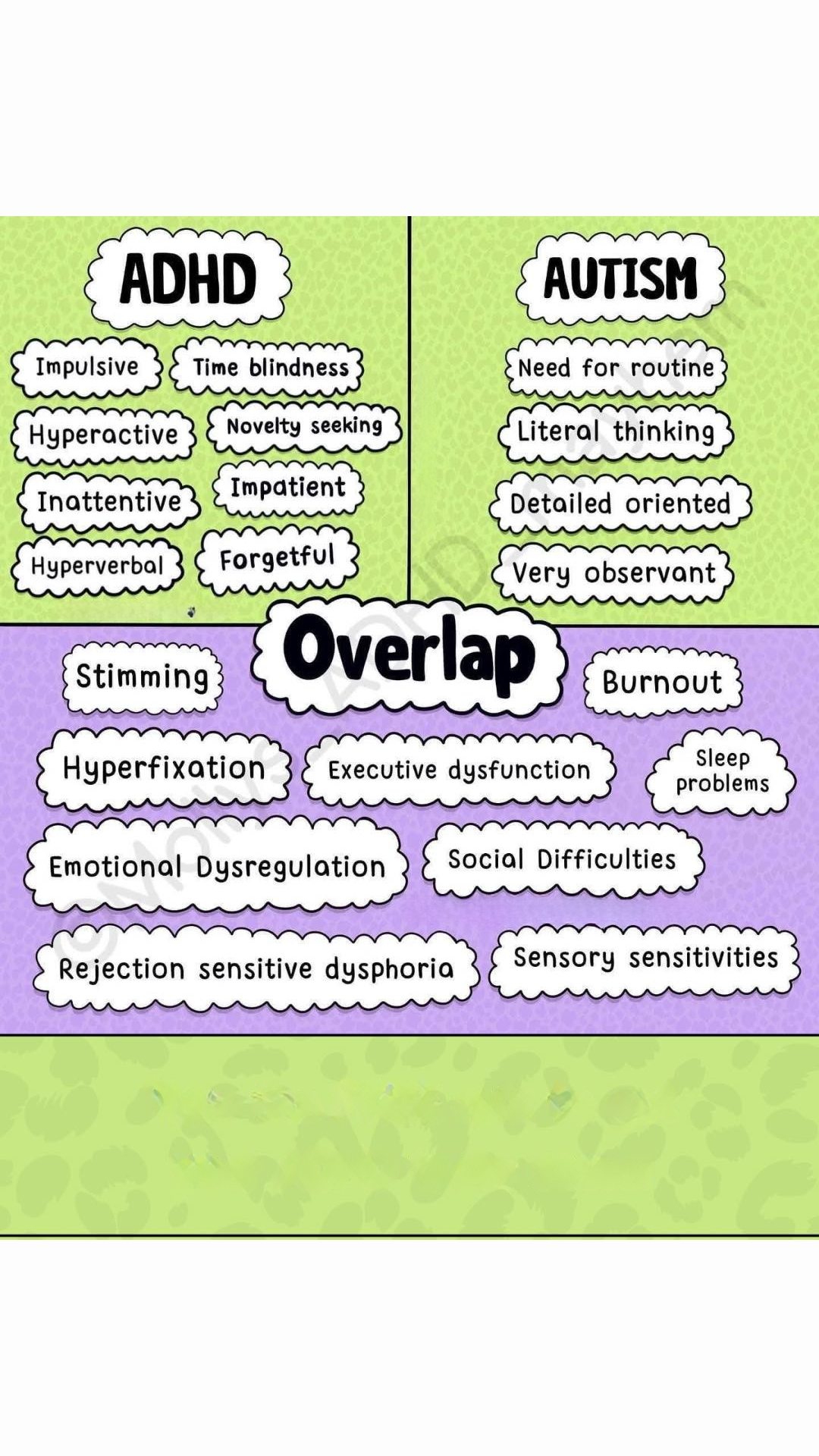 ADHD Explained | Understanding ADHD and Autism: Key Differences and ...