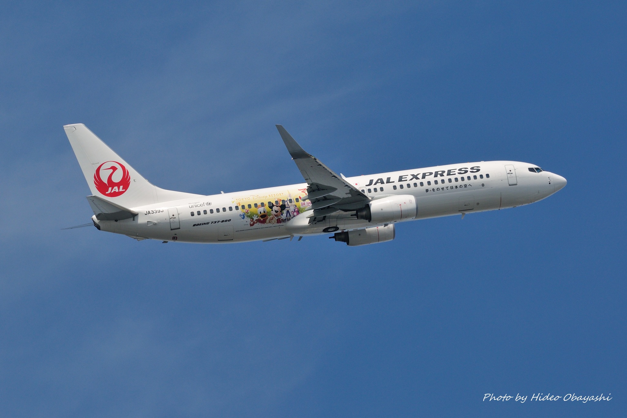 JA339J Japan Airlines, Boeing 737-846 June 1, 2013 Tokyo Haneda