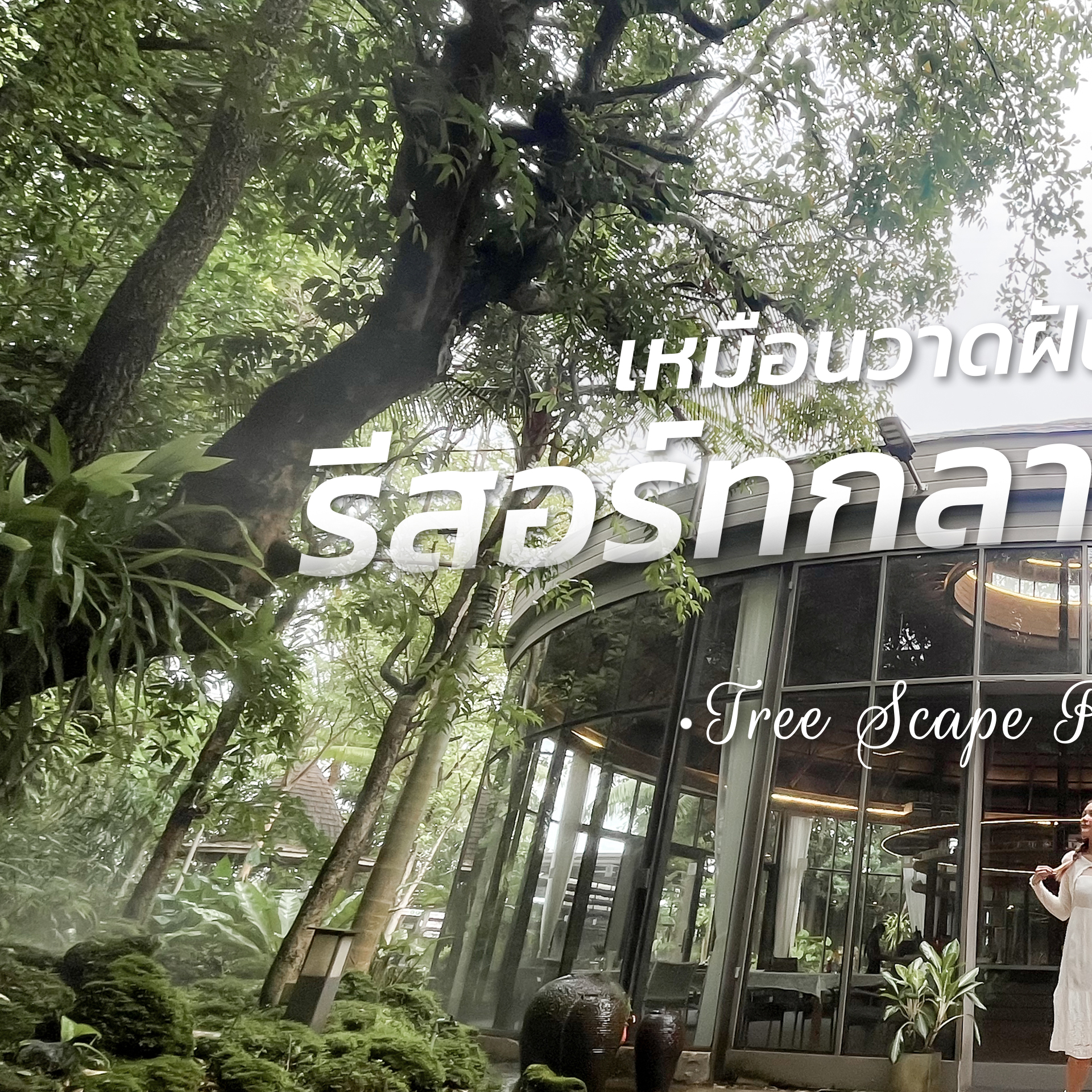 ขอบคุณที่เลือกมาใช้บริการเข้าพักก... - TreeScape RetreatResort