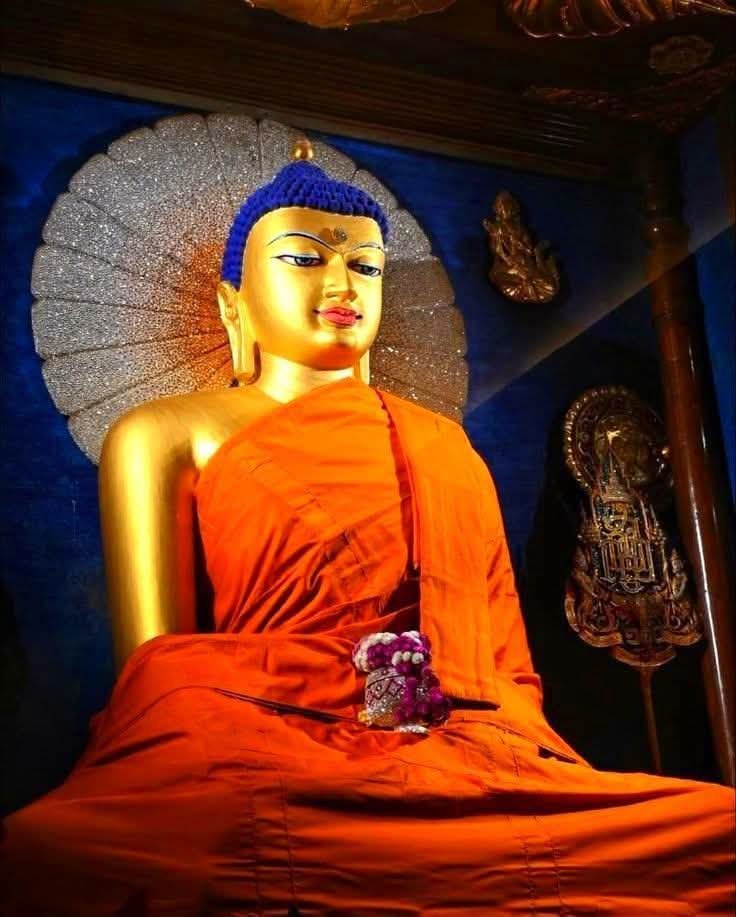 🚨🚨🚨 Dear All the above video is not a dhamma message but an issue we at ...