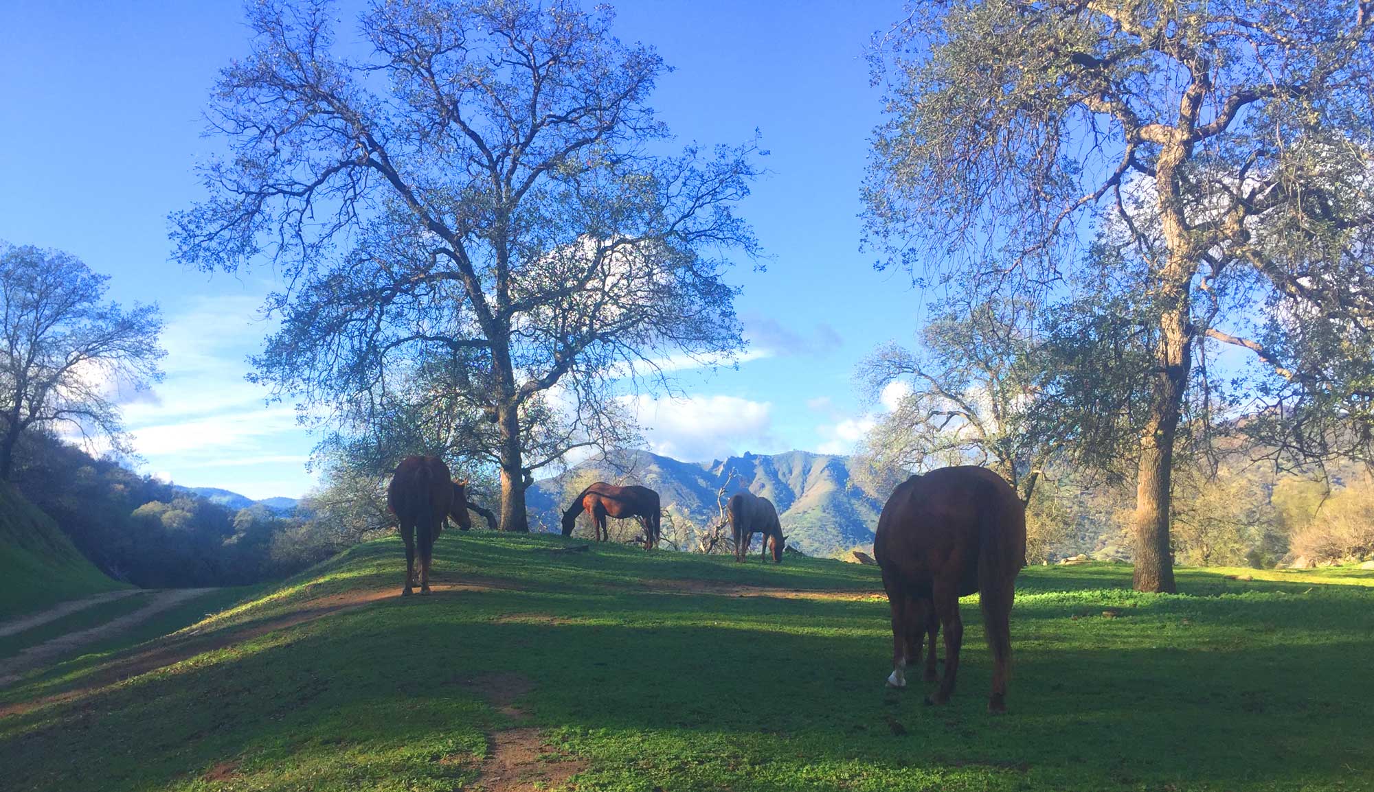 Raats Family Ranch | Three Rivers CA