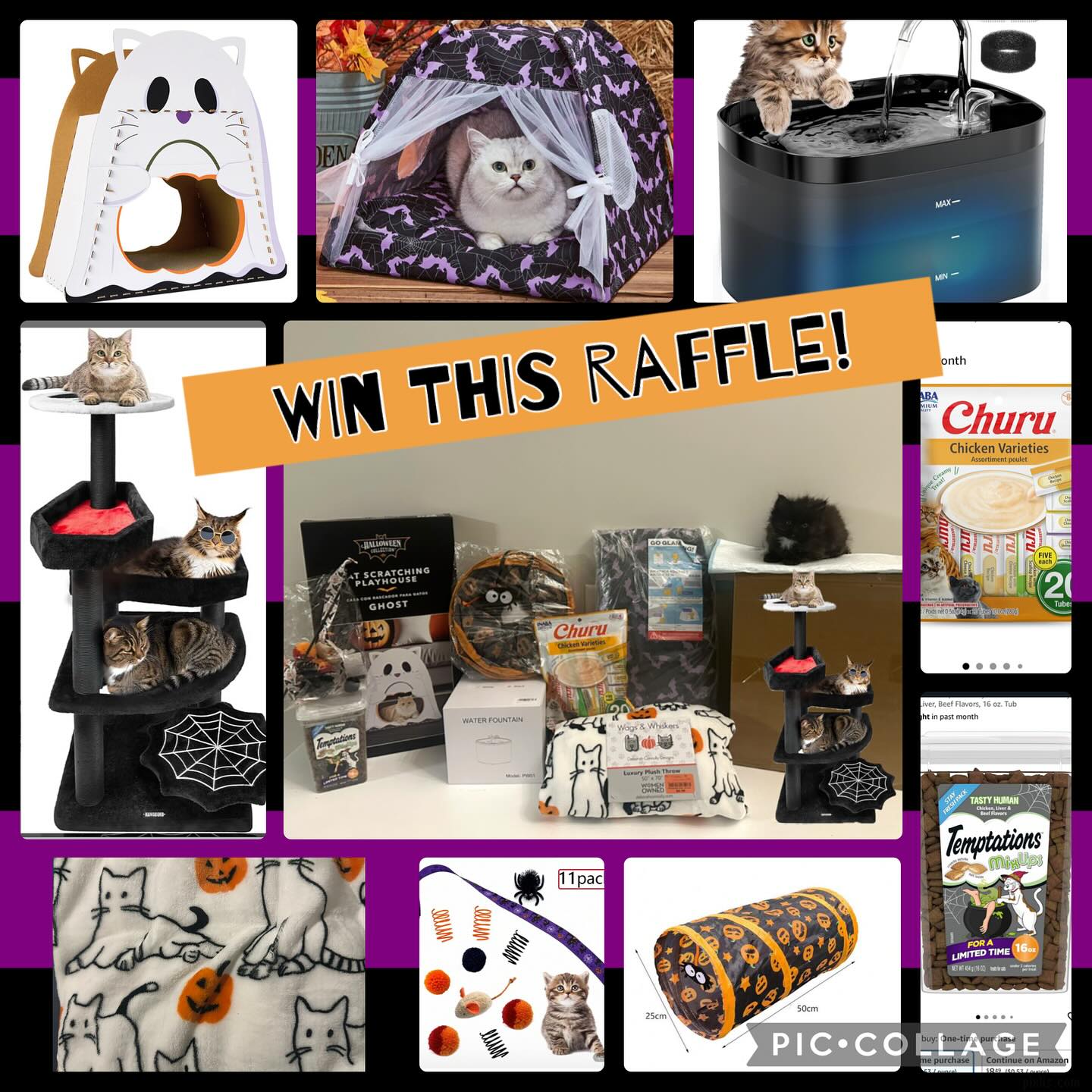 Crazy - WIN THIS HALLOWEEN THEMED RAFFLE! …all while helping the rescue ...