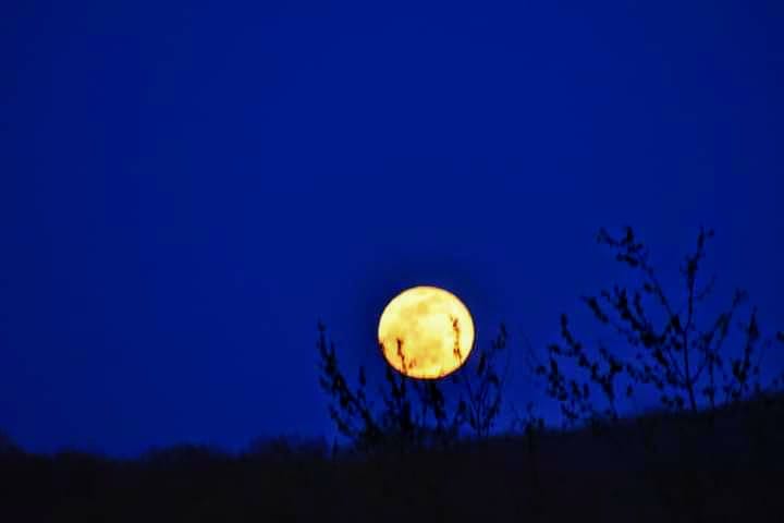 The Wolf Moon marks first supermoon of 2026. What we know about it