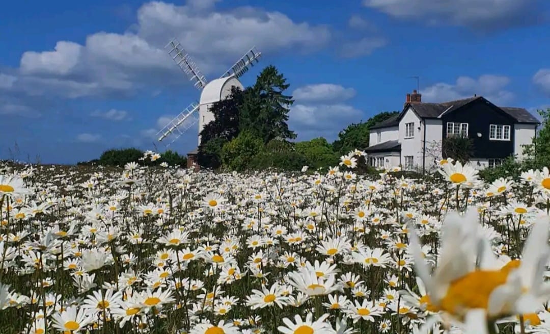 Aythorpe Roding Windmill