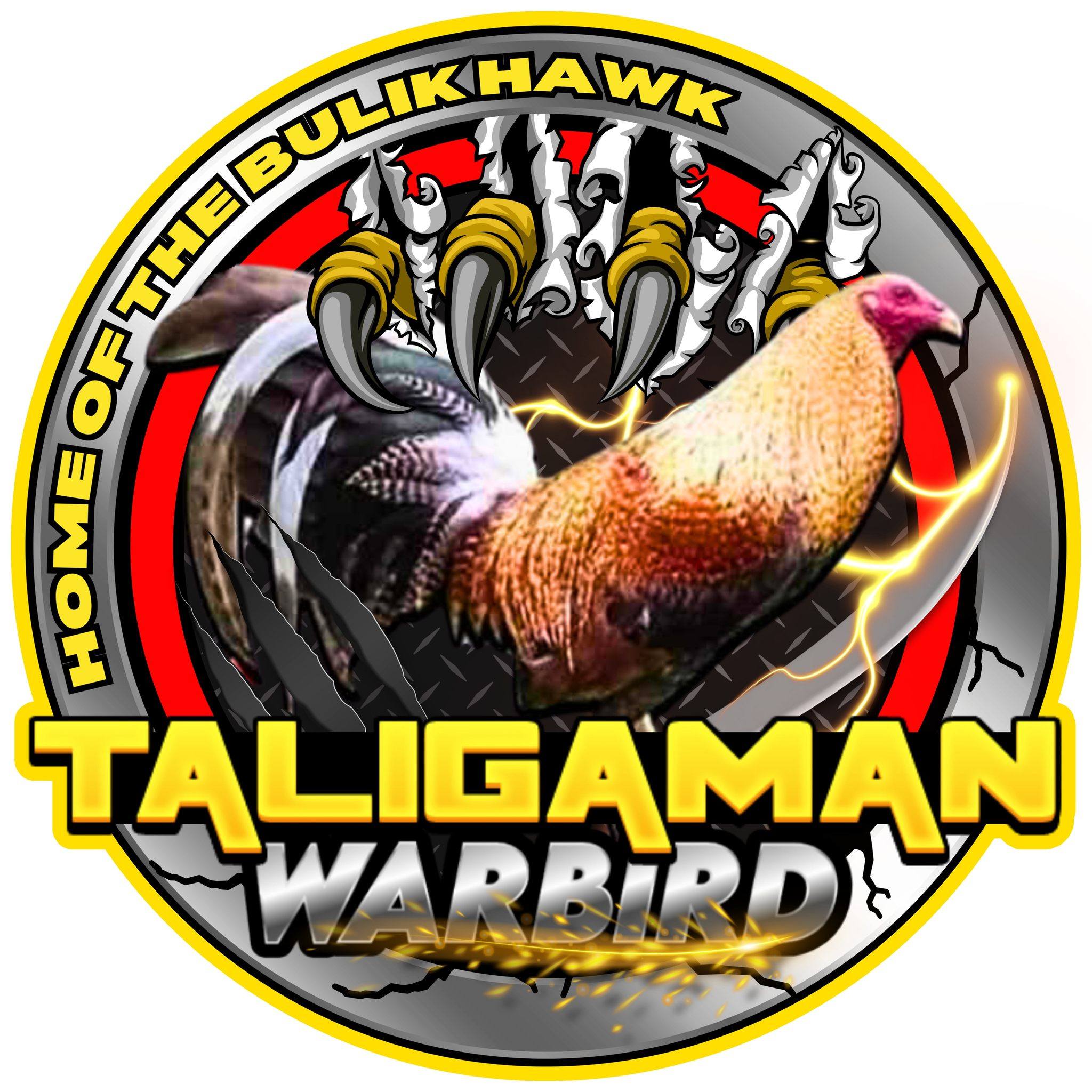 Taligaman Warbird