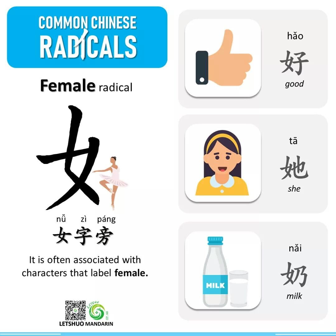 Common Chinese Radical 🤰女 Radical... - The Chinese Character