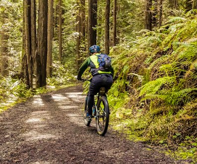 Ray and Sons Cycle & Ski | Maynard MA