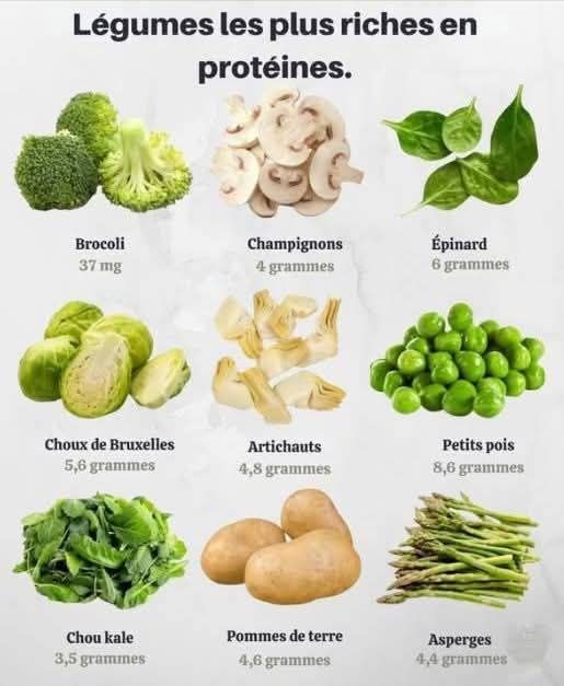 Découvrez les protéines végétales complètes et leurs combinaisons astucieuses pour une alimentation équilibrée ! 🌱