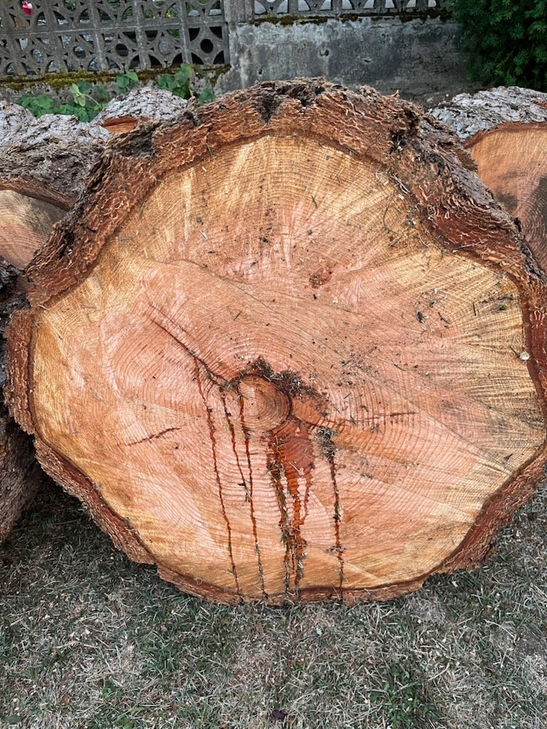 Douglas Fir Wood Rounds - Stepping Stones - Langford, British Columbia ...