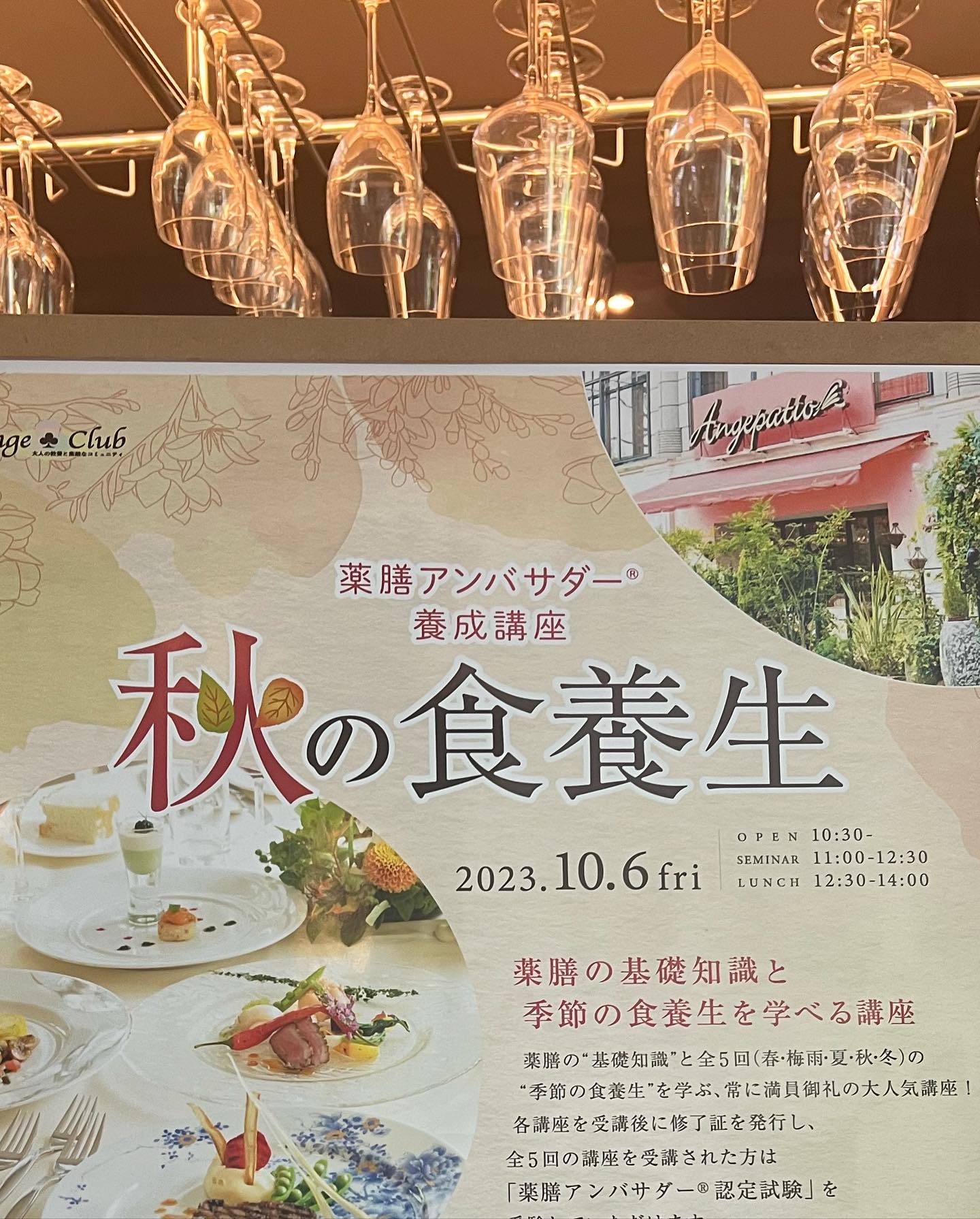 大人 の 幼稚園
