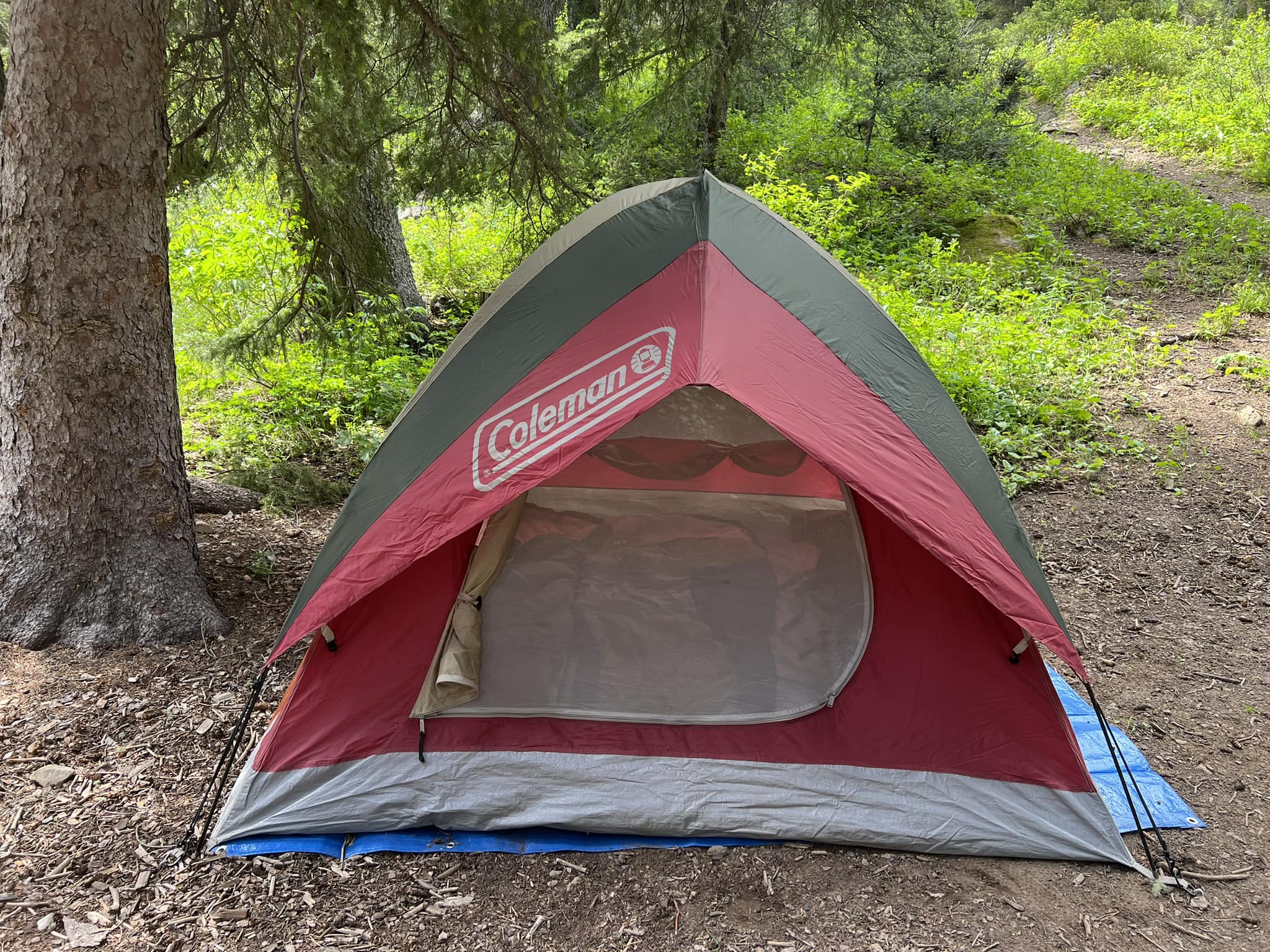 hudora zelt für nestschaukel 110 Lounge & Zeltbezug Cosy Castle sae-j306 Größe:Größe: 8 (M) SKS GERMANY BLUEMELS BASIC