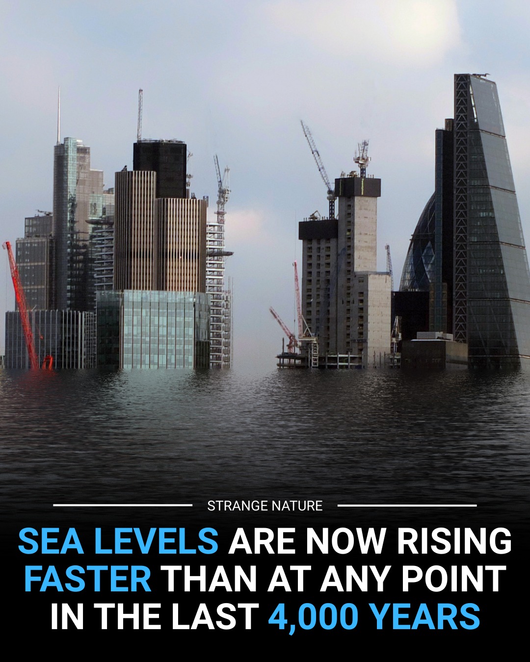 Strange - The Rising Tide 🌍🌊 According to scientists, global sea levels ...