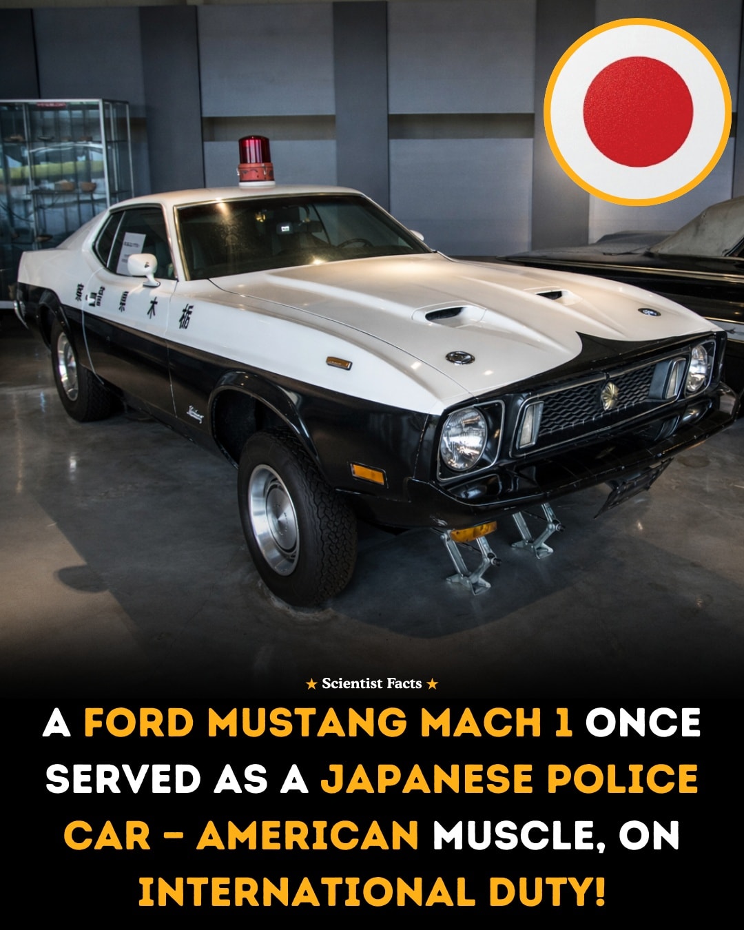 In 1973, a Ford Mustang Mach 1 became a rare expressway patrol car