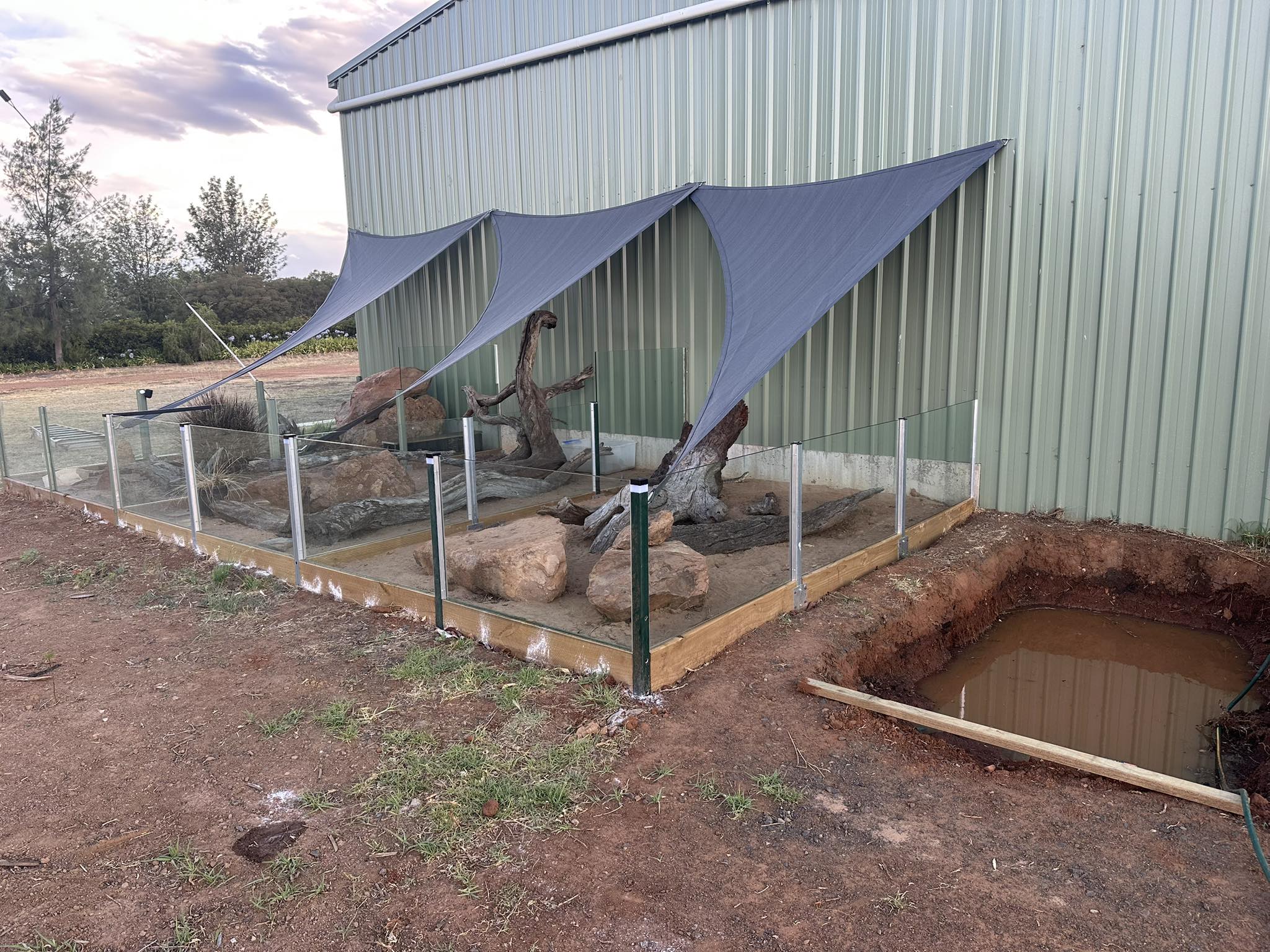 Richos Critters - Third pit got some glass today. Shade... | Facebook