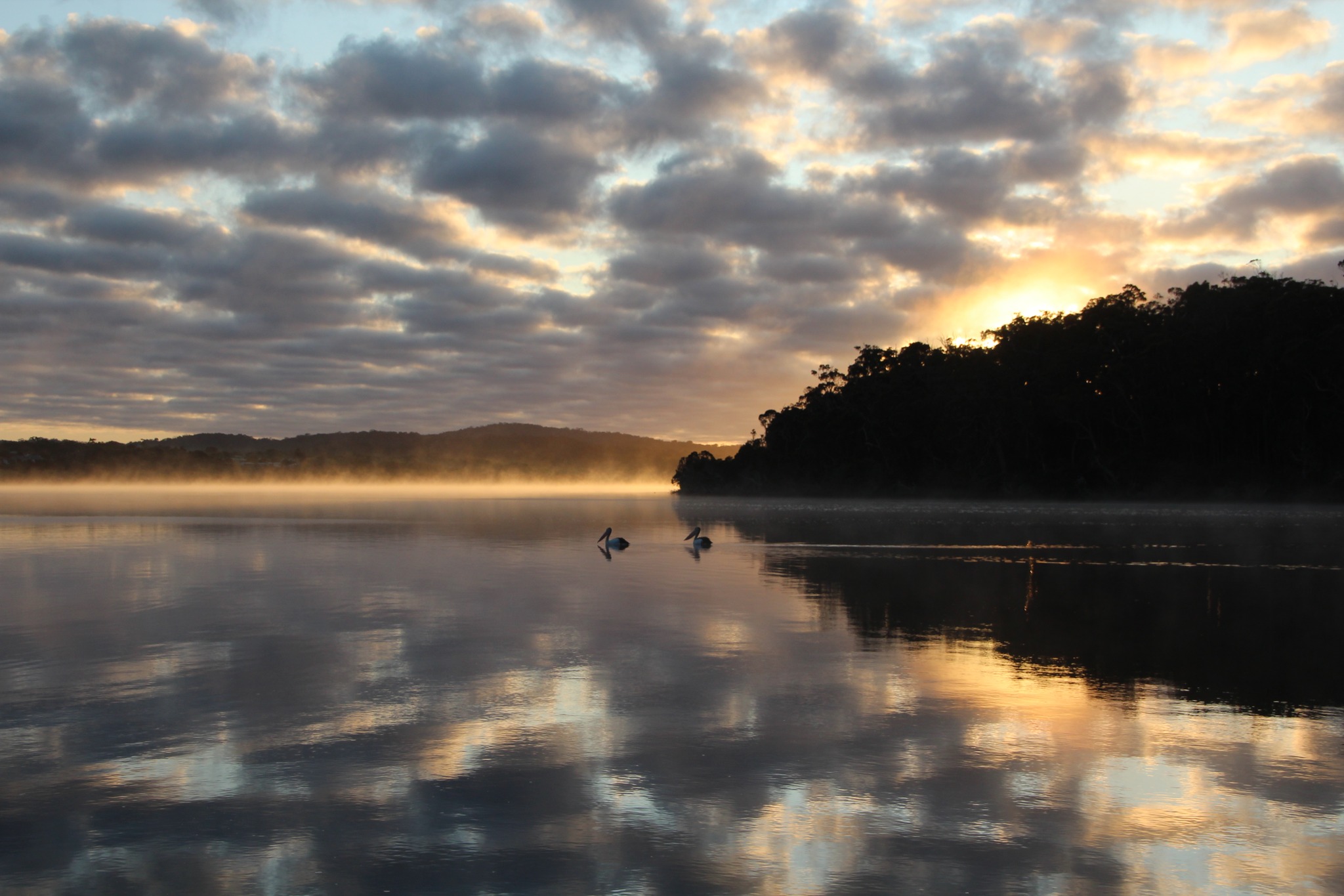 Walpole Rest Point Caravan Park | Walpole WA
