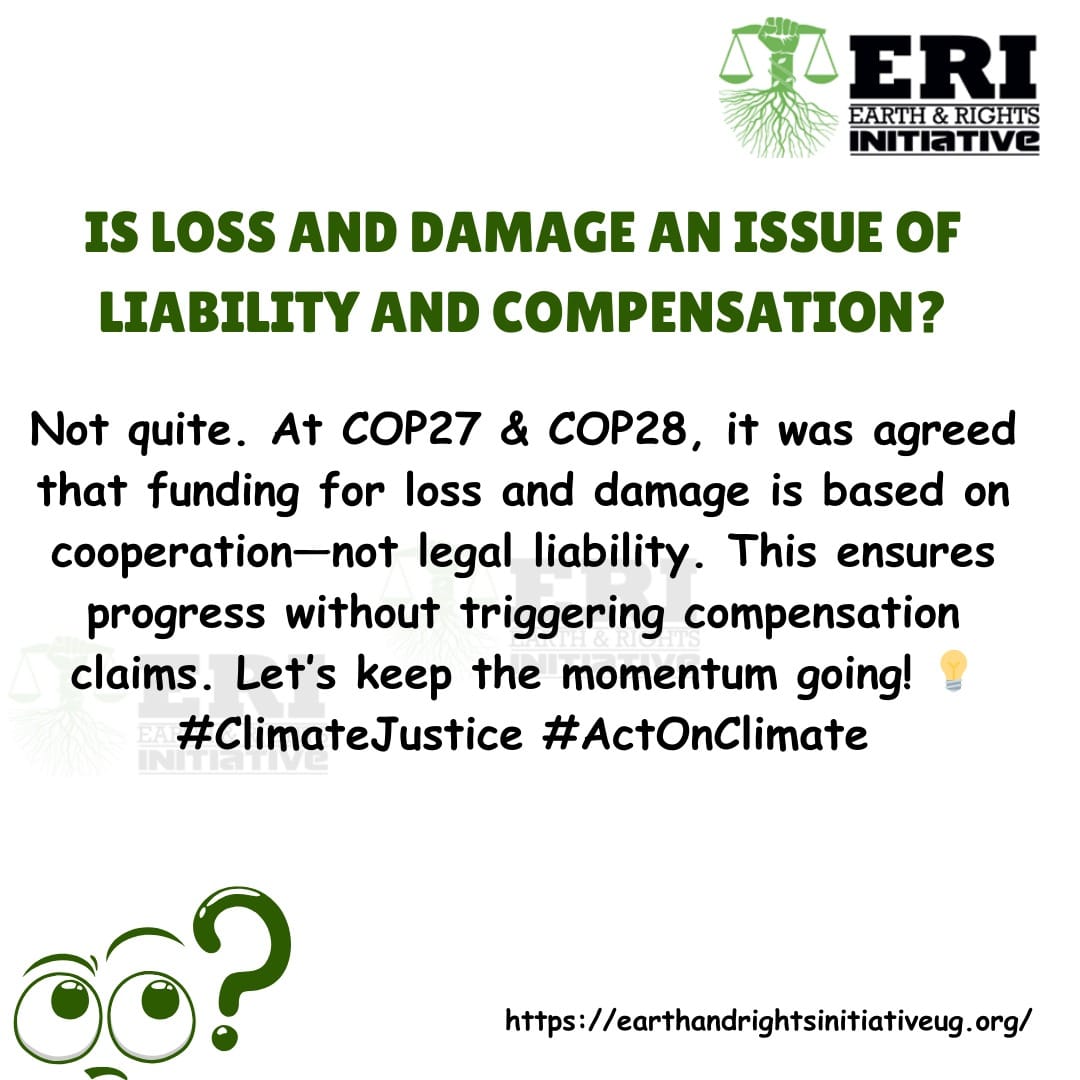 Earth and Rights Initiative