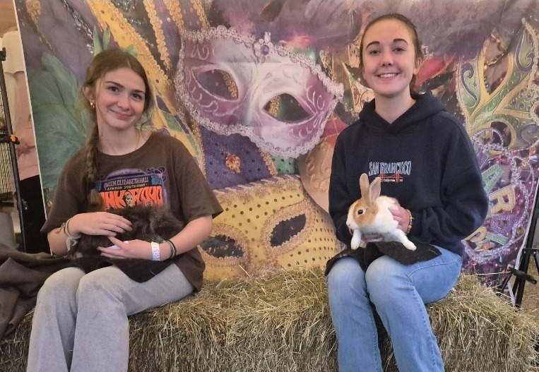 Eastern Maine Rabbit Breeders Association EMRBA | Bangor ME