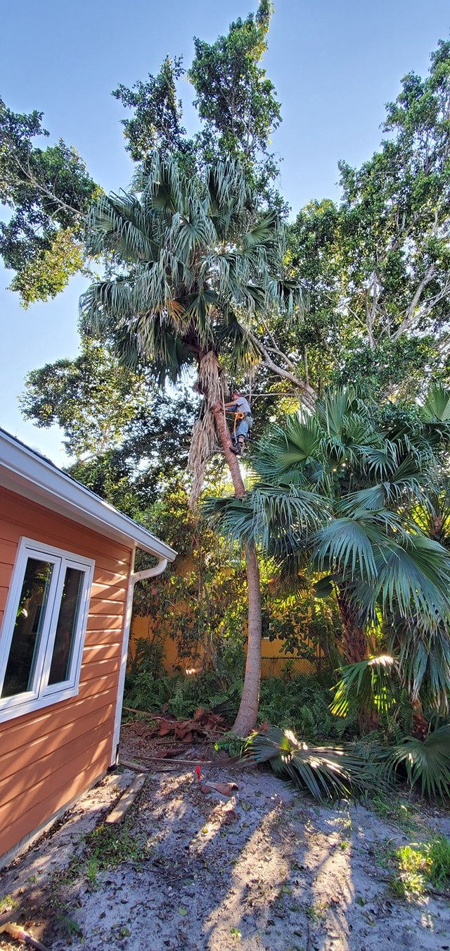 Pinnacle Lawn & Tree Service Inc