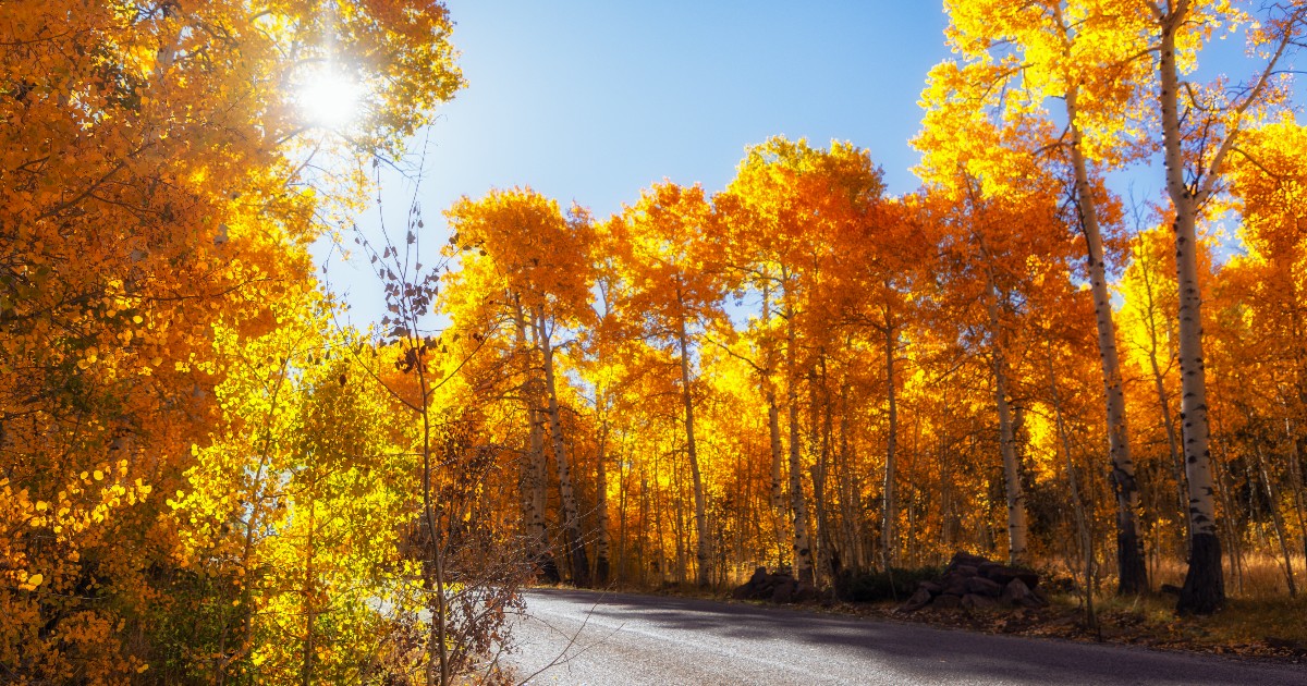 Okay FALL, way to show off. 🤩... - Utah Tech University | Facebook