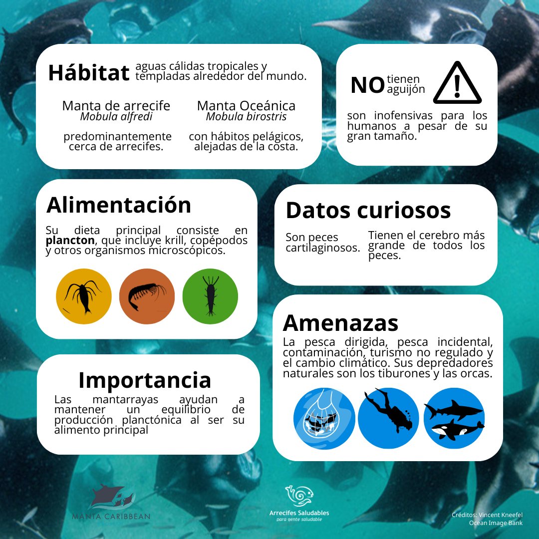 Fish Behaviour