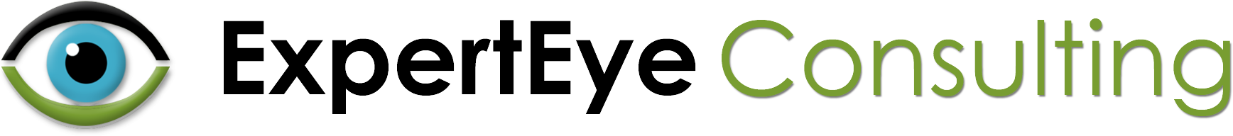 Experteye Consulting - Home