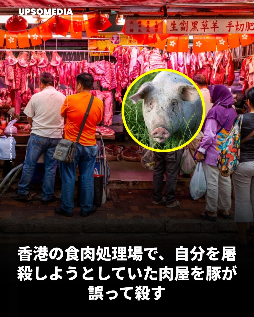 当時のメディア報道・掲載写真