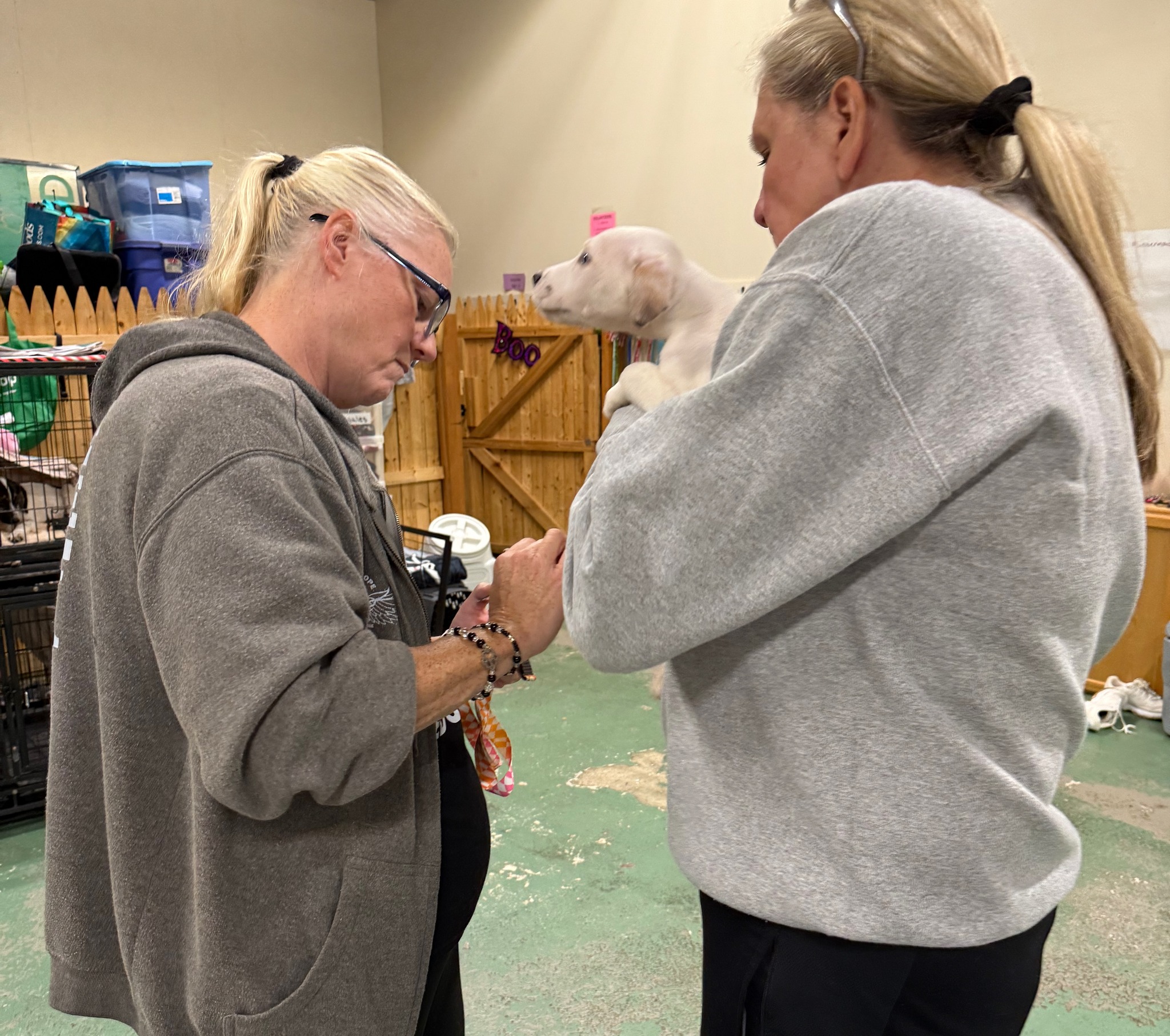Project Hope... - Project Hope Animal Rescue Foundation