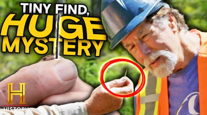Acorn - For more than a decade, The Curse of Oak Island has taken ...