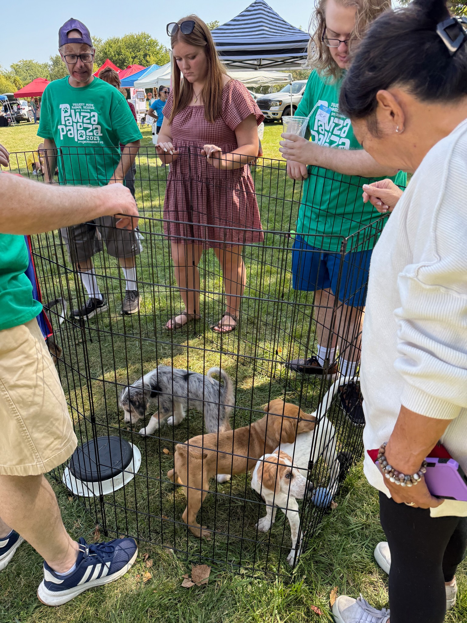 Project Hope... - Project Hope Animal Rescue Foundation