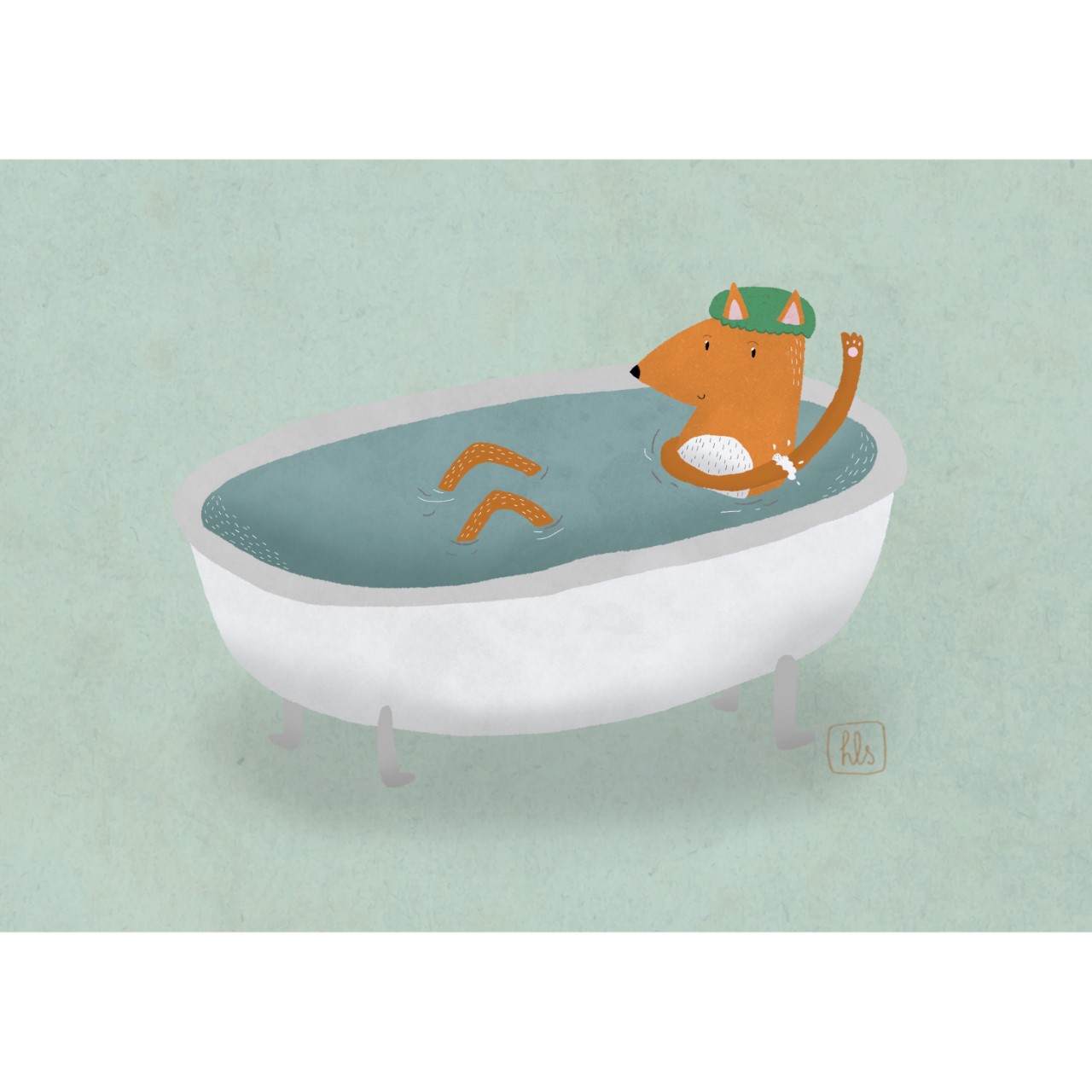 Hayley Stringer Illustration