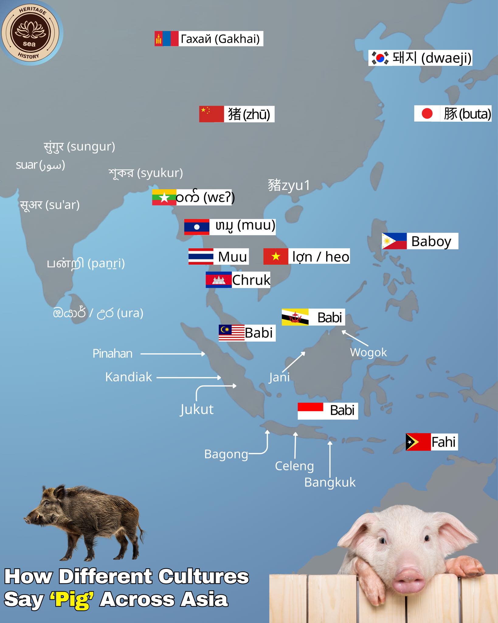 🐷| How Different Cultures Say... - SEA Heritage & History | Facebook