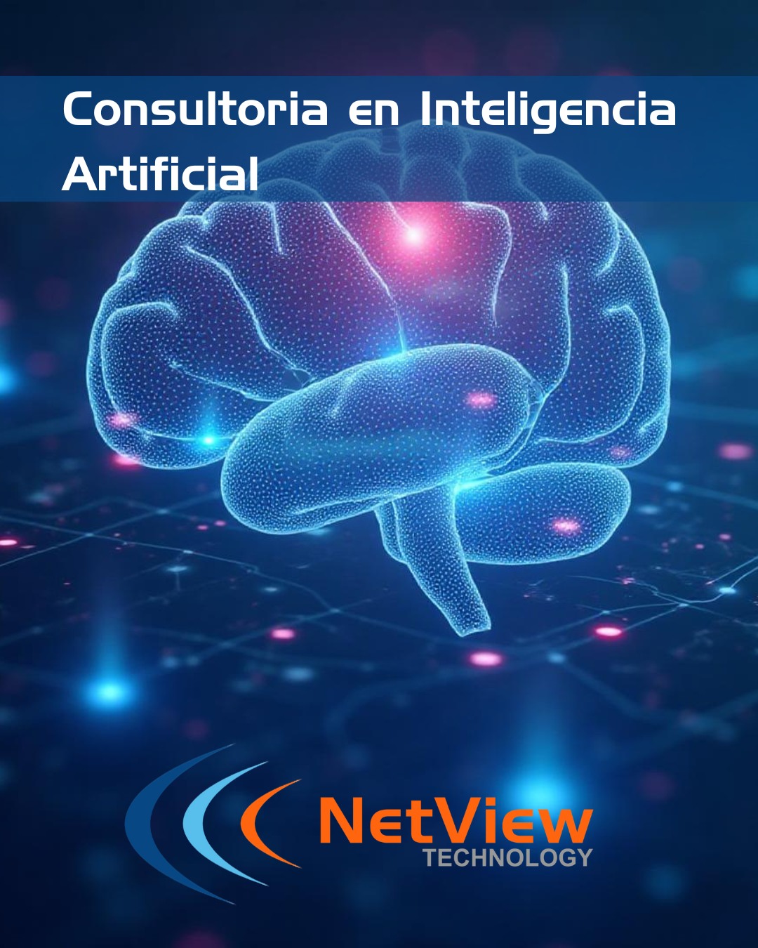 Netview Technology