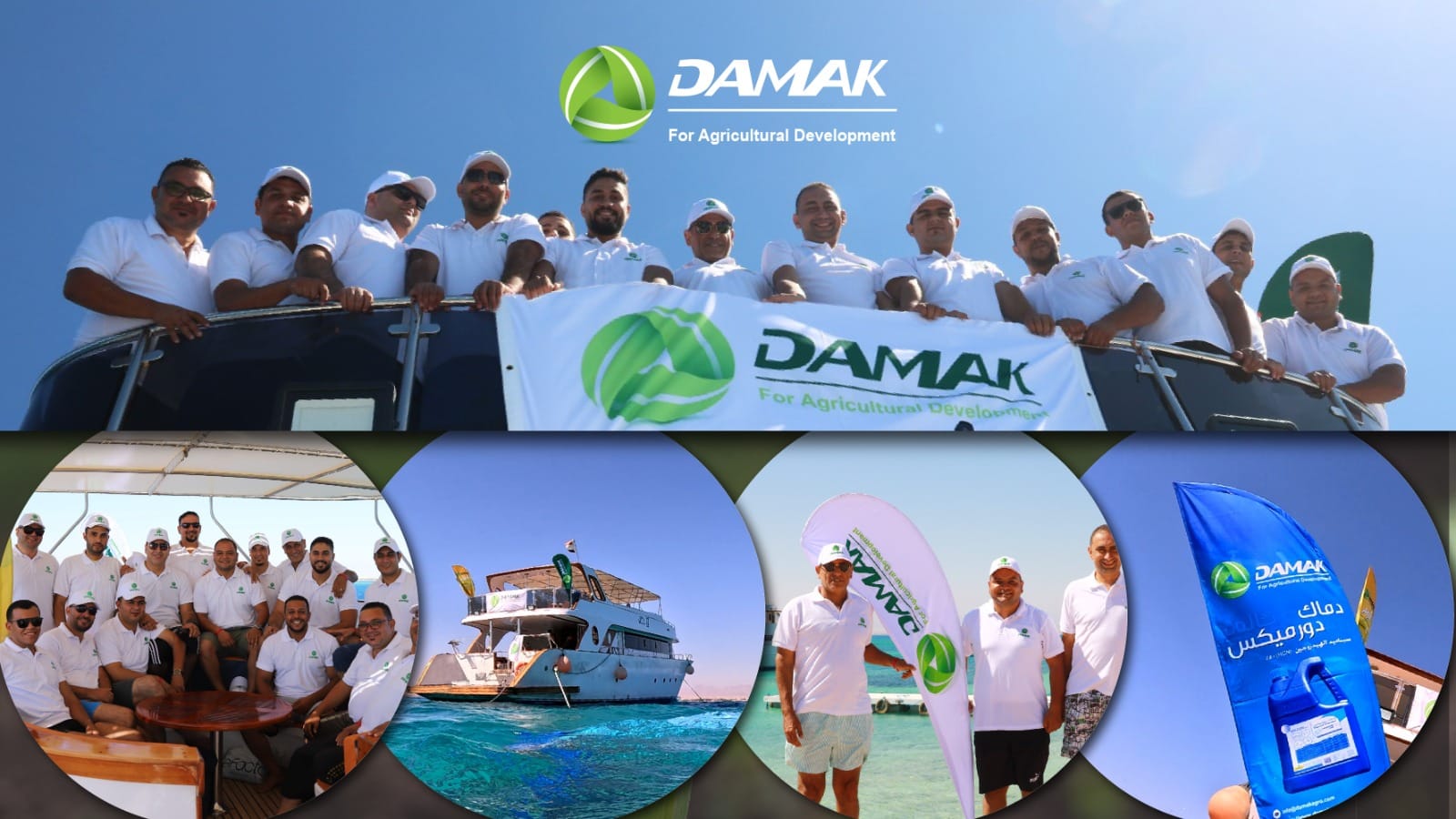 ‎شركة الماسة سيدز... - شركة الماسة سيدز Almasa seeds company
