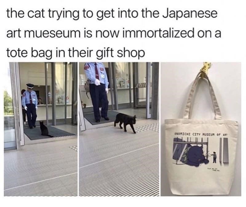 Cat Rumble - Now that's a money-making idea! | Facebook