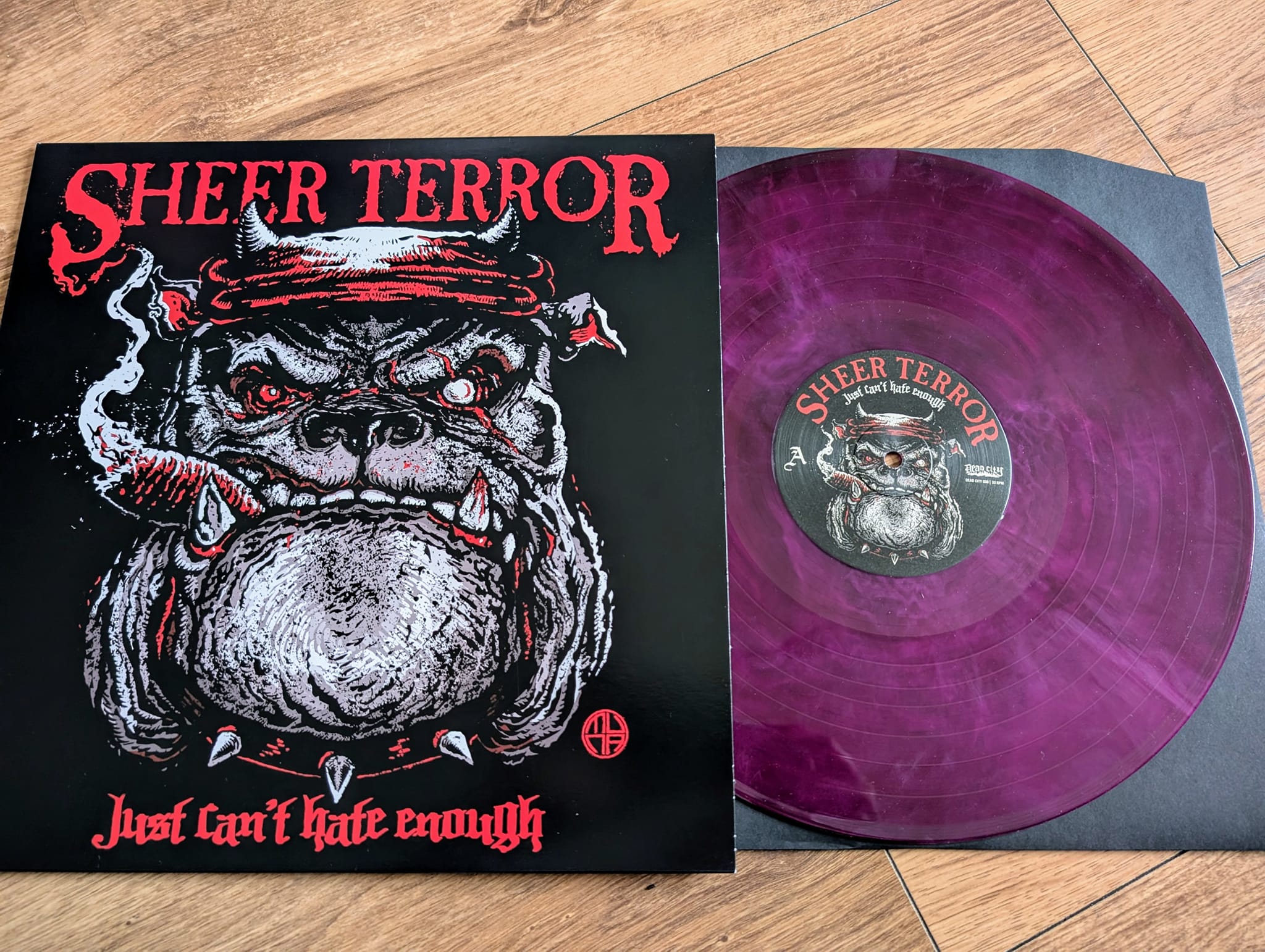 Sheer Terror - Just Can't Hate Enough. Generation Records Exclusive
