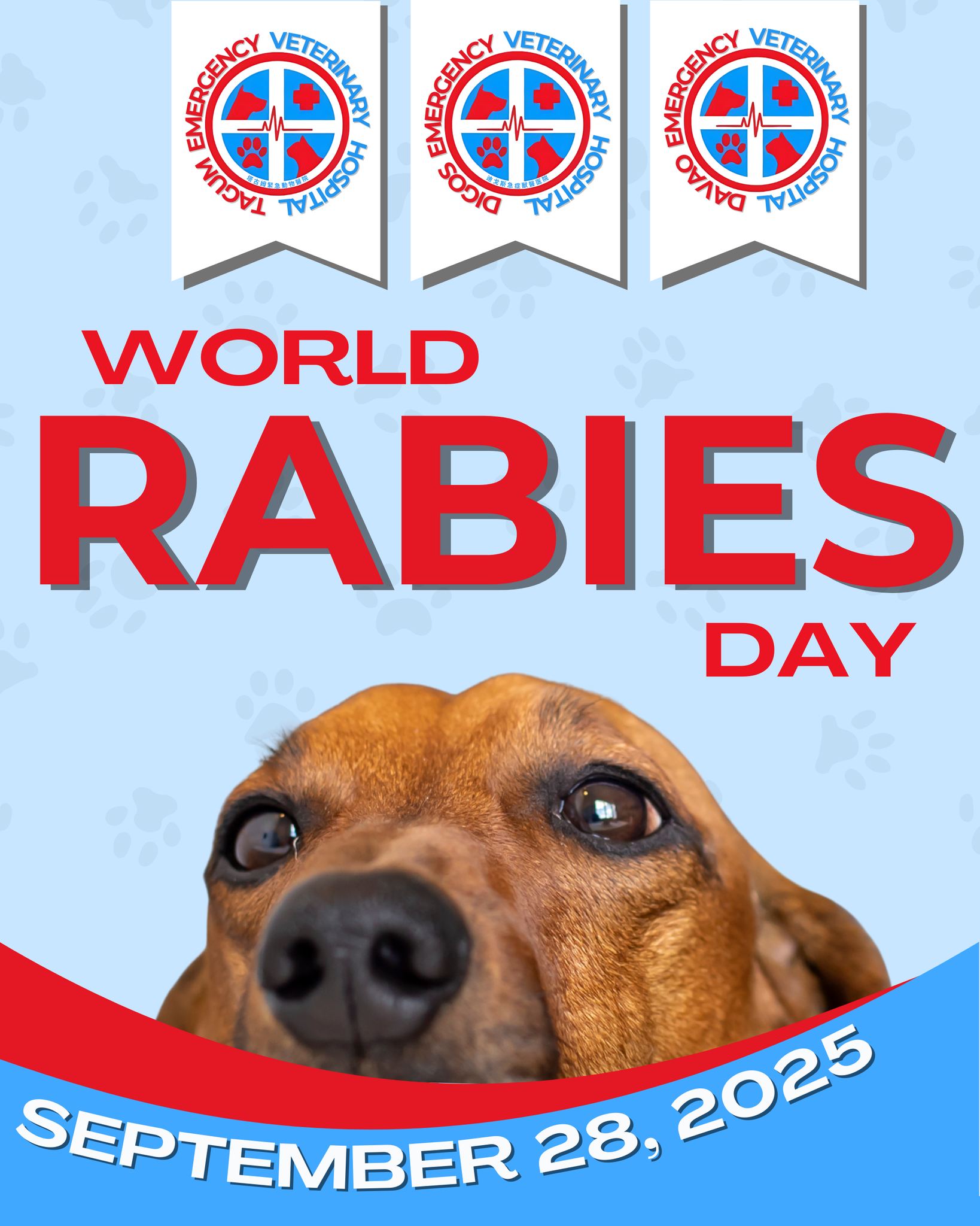 Davao - 🐾 World Rabies Day 2025 🐾 Today, we stand united in the fight ...