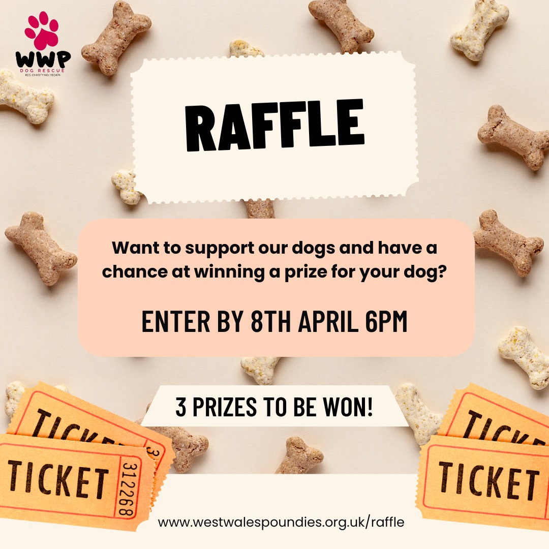 🌟🎁 It's Raffle Time! 🎁🌟... - West Wales Poundies Dog Rescue | Facebook