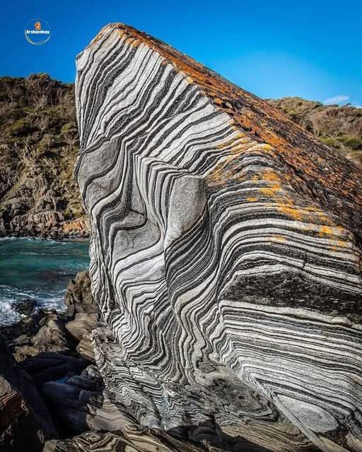 Earth - Formed nearly 600 million years ago along the coast of ...