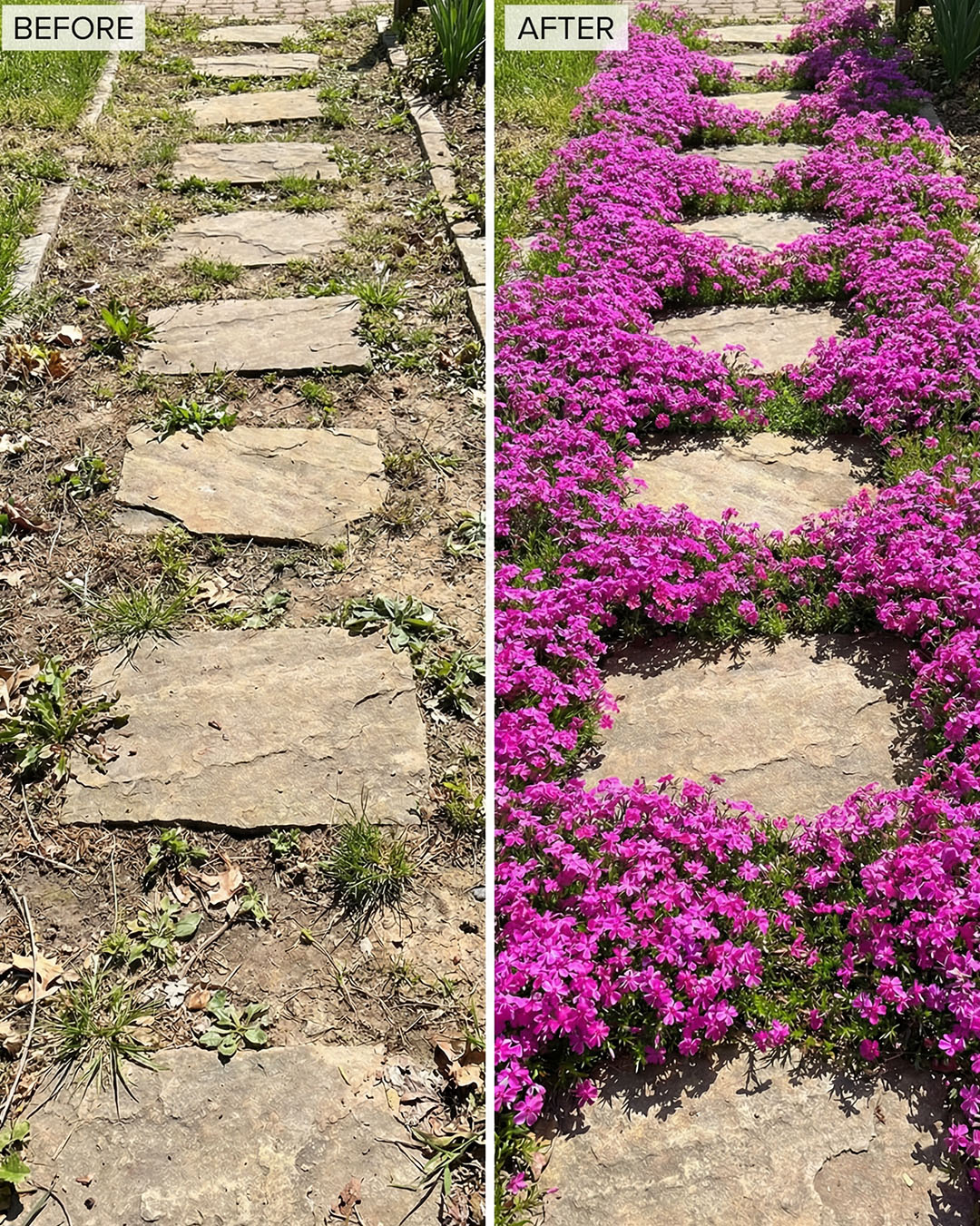Watch Gardening - Create a Pollinator-Friendly Walkway... | Facebook