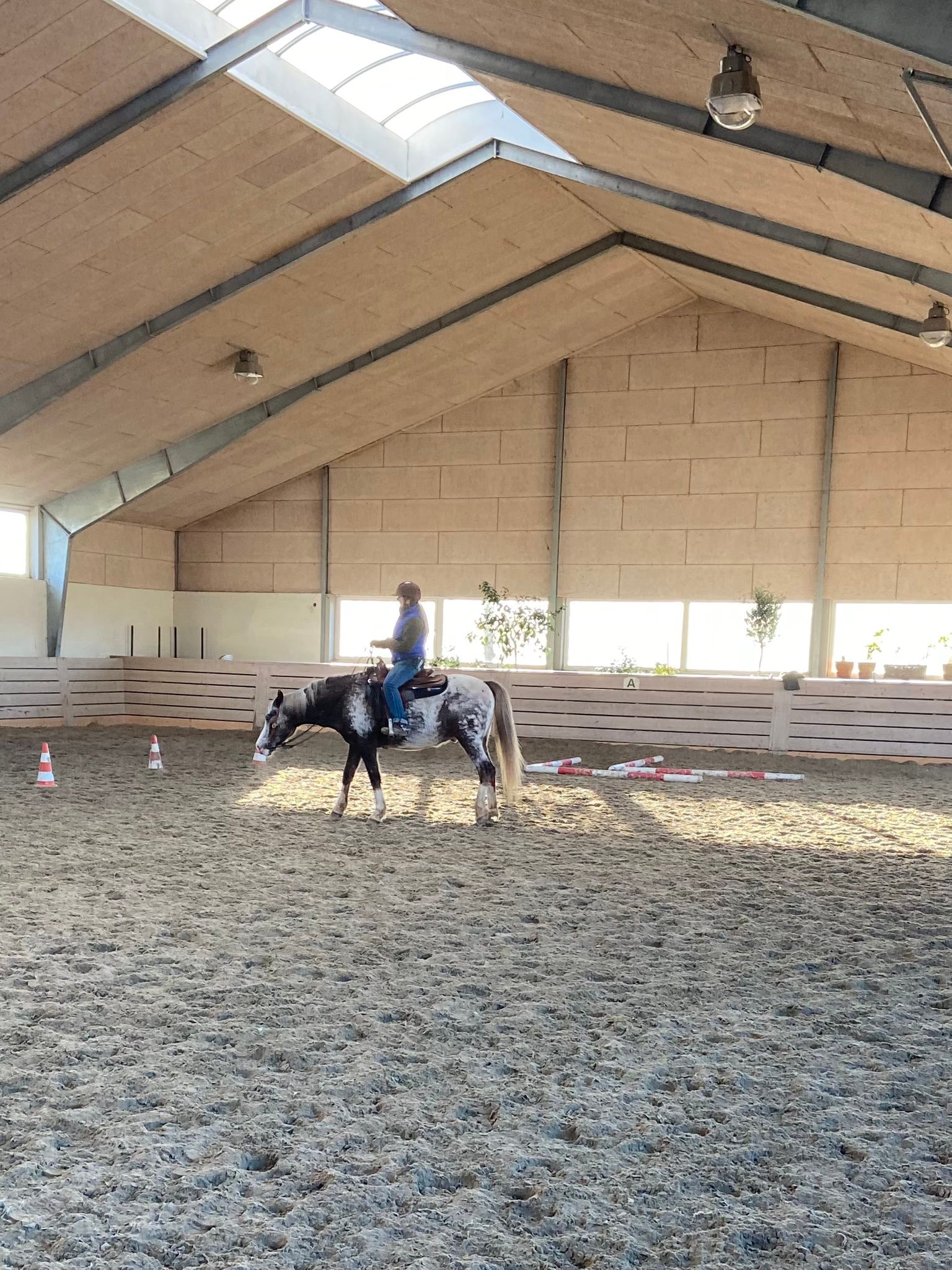 Danish Horse Academy